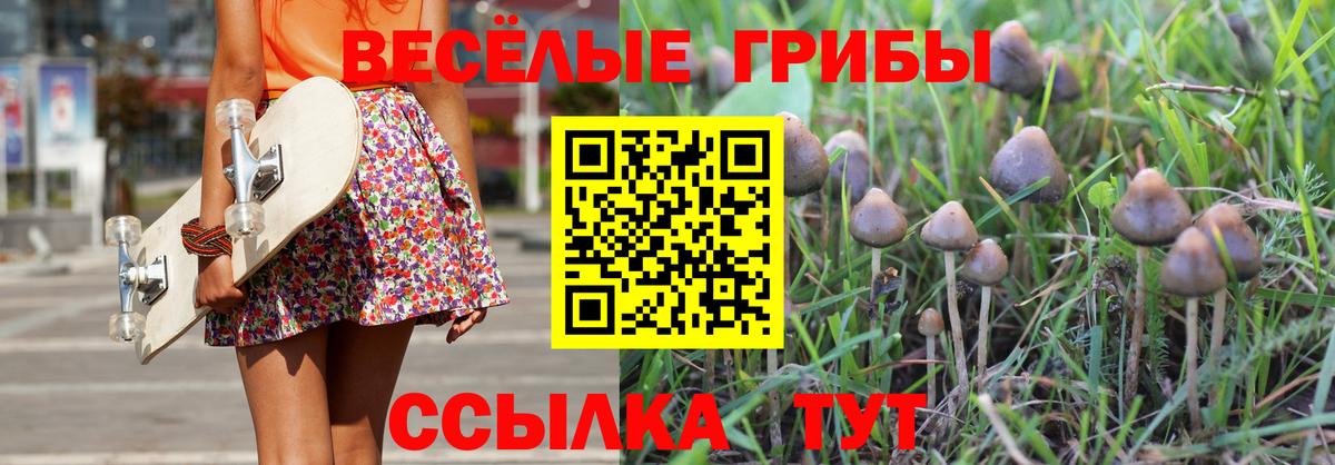 Галлюциногенные грибы Psilocybine cubensis  Псилоцибиновые грибы мухоморы  Бузулук  Вход с VPN 